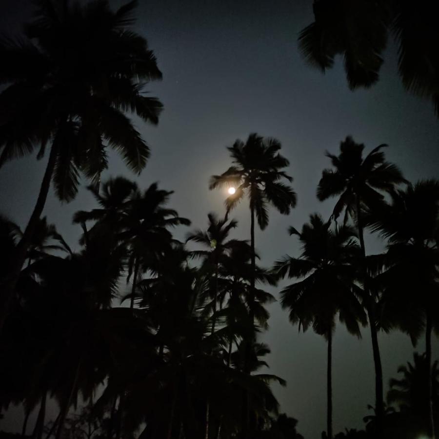 Royal Touch Beach Huts Palolem Esterno foto