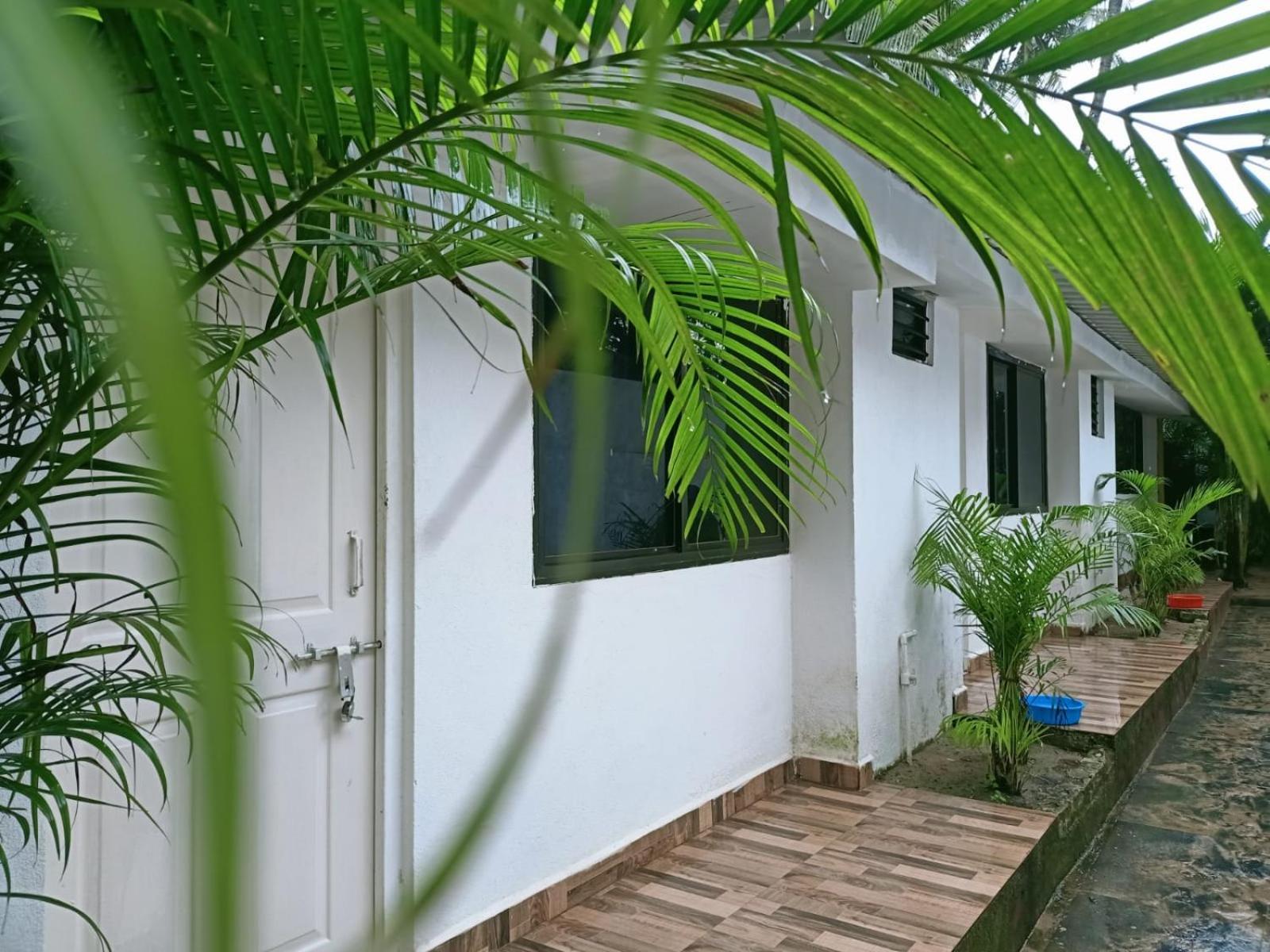 Royal Touch Beach Huts Palolem Esterno foto